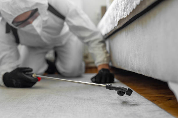 Professional Bed Bug Control technician working in Wixom, MI